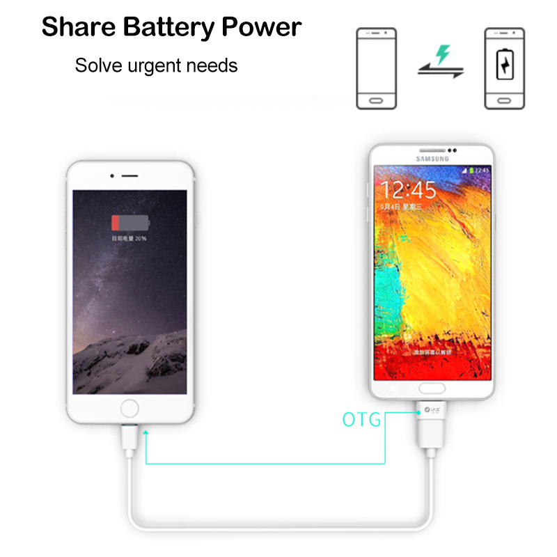 iFiX IF-03 Micro OTG Adapter  (Black)